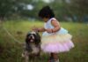 Małe dziecko głaszcze shih tzu na trawie na dworze