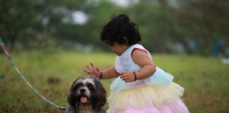 Małe dziecko głaszcze shih tzu na trawie na dworze