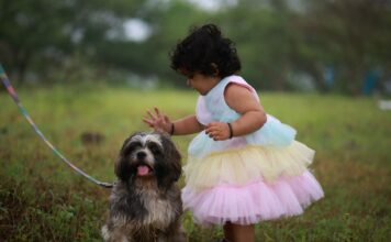 Małe dziecko głaszcze shih tzu na trawie na dworze